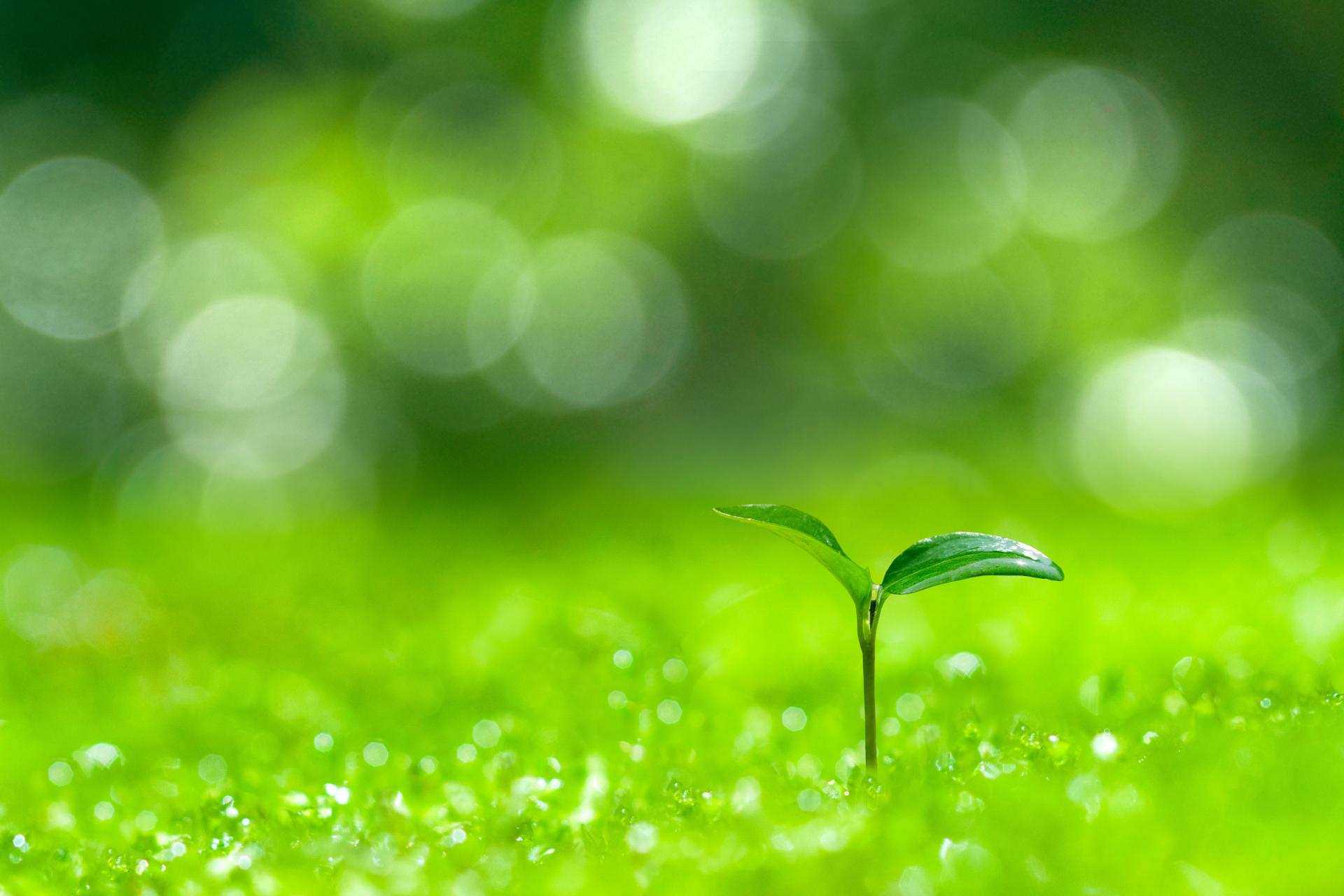 エコのイメージ画像